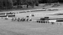 Une course de chevaux sur l'hippodrome