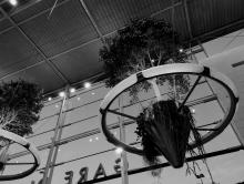 Plantes vertes suspendues au plafond — Gare d'Angers
