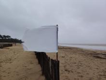 Drapeau blanc sur une plage battue par les vents